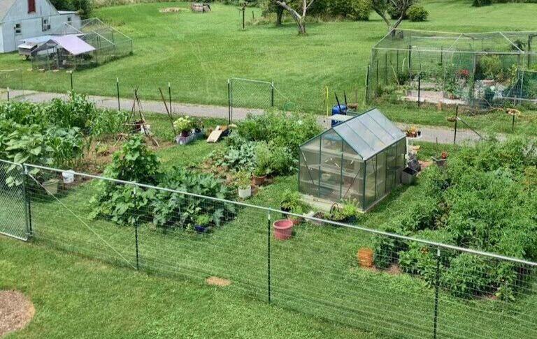 Dee garden